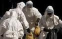 Χονγκ Κονγκ: Νεκρός 80χρονος από τον ιό H7N9 της γρίπης των πτηνών