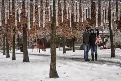 Καταιγίδα πάγου δημιουργεί μοναδικές εικόνες