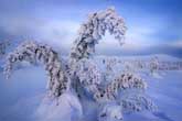 Οι 7 καλύτερες προτάσεις για να χαρείτε τον πραγματικό ρωσικό χειμώνα - Φωτογραφία 4