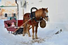 Οι 7 καλύτερες προτάσεις για να χαρείτε τον πραγματικό ρωσικό χειμώνα