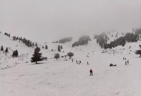 Καλάβρυτα: Στα Λευκά ο Χελμός - Δείτε φωτο από το Χιονοδρομικό Κέντρο! - Φωτογραφία 1