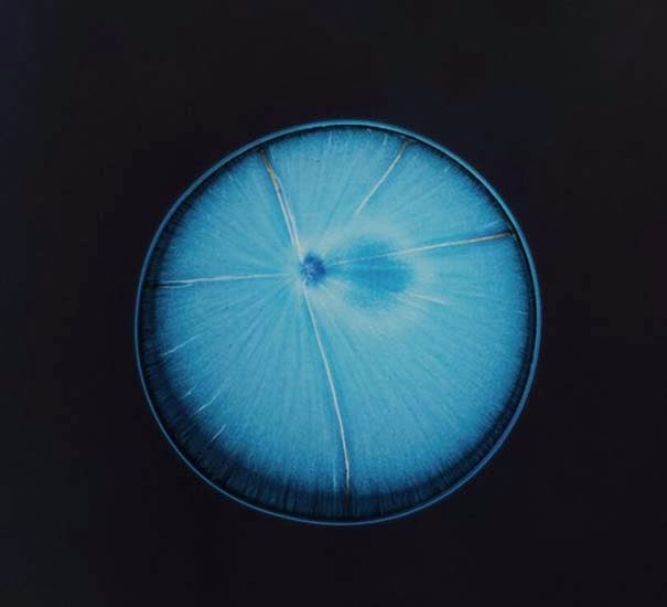 Πώς φαίνονται οι ναρκωτικές ουσίες μέσα από το μικροσκόπιο - Φωτογραφία 12