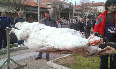 Για 2η χρονιά στήθηκε η τεράστια σούβλα στις Φέρες του Έβρου - Φωτογραφία 2