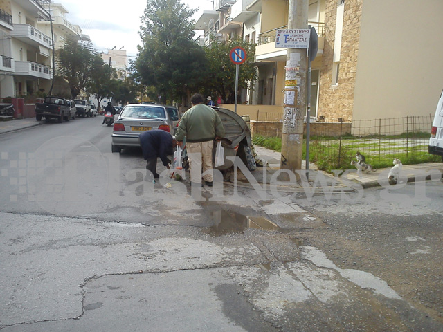 Χανιά: Ψάχνουν τα σκουπίδια για να φάνε - Φωτογραφία 3