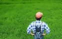 Δυτική Ελλάδα: 15,5 εκατομμύρια ευρώ για νέους που θέλουν να ασχοληθούν με την γεωργία - Τα κριτήρια χρηματοδότησης