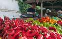 Τι ορίζει για τα Farmers Markets το πολυνομοσχέδιο του ΥπΑΑΤ που κατατέθηκε στη Βουλή