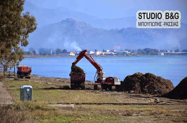 Kαθαρισμός παραλίας στη νέα Κίο - Φωτογραφία 2