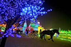 Δείτε τις  δέκα πιο... παγωμένες εμπειρίες στον κόσμο!