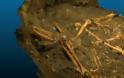 Ανατριχιαστικό αρχαιολογικό εύρημα στη Βουργουνδία: Για μαζική εξόντωση κάνουν λόγο οι ειδικοί