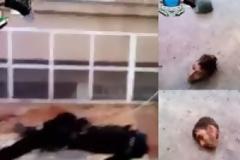 ΣΥΡΙΑ: ΑΠΟΚΕΦΑΛΙΣΜΟΙ ΚΑΙ ΜΑΣΤΙΓΩΣΕΙΣ ΧΡΙΣΤΙΑΝΩΝ (Βίντεο) ...!!!