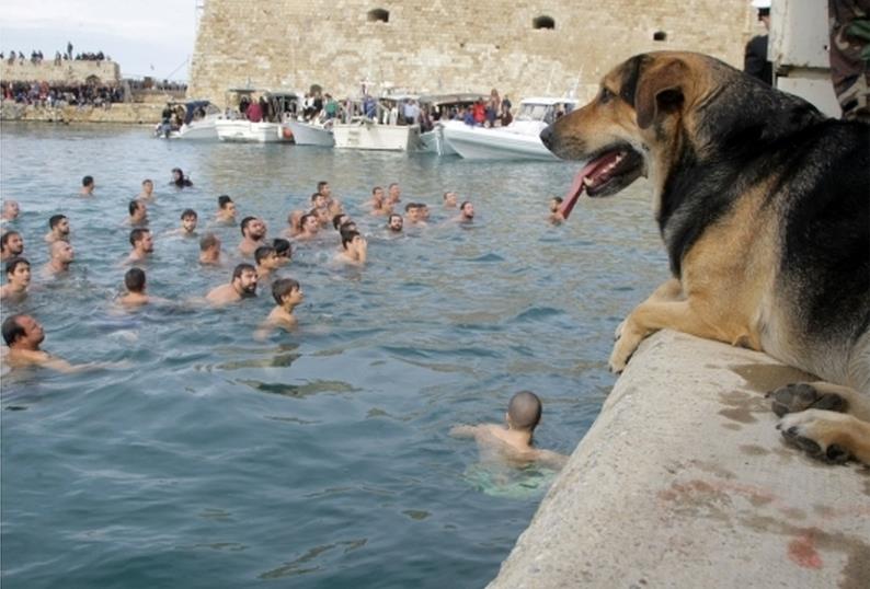 Κρήτη: Σκύλος βούτηξε για να πιάσει το σταυρό - Φωτογραφία 3