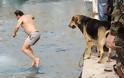 Κρήτη: Σκύλος βούτηξε για να πιάσει το σταυρό