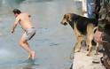 Κρήτη: Σκύλος βούτηξε για να πιάσει το σταυρό - Φωτογραφία 4