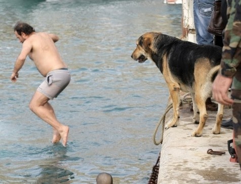 Ο σκύλος βούτηξε για το...σταυρό κι έκλεψε την παράσταση! - Φωτογραφία 2