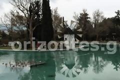 Λαμπρά Θεοφάνεια στη Λίμνη του Άλσους στη Νέα Φιλαδέλφεια