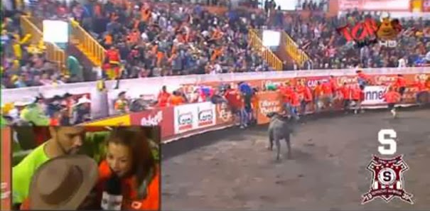 Ταύρος 500 κιλών… εκτόξευσε νεαρή γυναίκα [Video] - Φωτογραφία 1