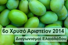 6th ARISTION 2014- ΔΙΕΘΝΗΣ ΔΙΑΓΩΝΙΣΜΟΣ ΠΟΙΟΤΗΤΑΣ & ΣΥΣΚΕΥΑΣΙΑΣ ΕΛΑΙΟΛΑΔΟΥ