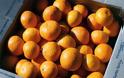 Πάτρα: Κρύφτηκαν σε φορτίο με πορτοκάλια με σκοπό την παράνομη έξοδό τους από το λιμάνι
