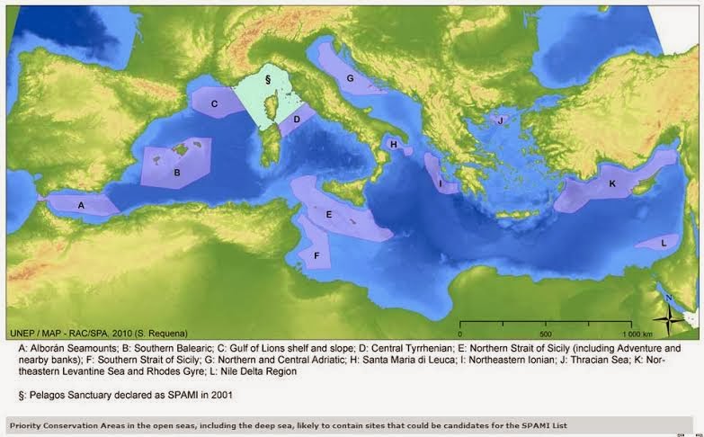 Πιθανές επιπτώσεις από την εφαρμογή του σχεδίου καταστροφής των χημικών όπλων της Συρίας - Φωτογραφία 2