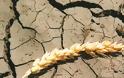 Συναγερμός για μεγάλες ξηρασίες στην Ελλάδα