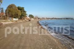 Ηλεία: Φόβος και ανησυχία από την ραγδαία διάβρωση της ακτής στο λιμάνι του Κατακόλου!