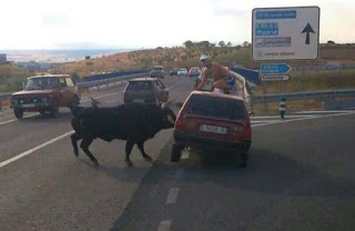 Ασυνήθιστα τροχαία ατυχήματα - Φωτογραφία 12