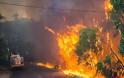 Καμίνι η Αυστραλία με 48 βαθμούς και φωτιές από κεραυνούς