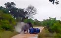 Ελέφαντας αναποδογύρισε αμάξι - Βίντεο με το περιπετειώδες σαφάρι
