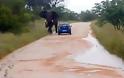 Ελέφαντας αναποδογύρισε αμάξι - Βίντεο με το περιπετειώδες σαφάρι - Φωτογραφία 3