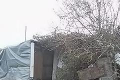 Κρήτη: 7μελής οικογένεια με ανήλικα παιδιά ζει στην πιο ακριβή περιοχή σε παράγκα [video]