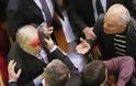 Άνοιξαν… κεφάλια μέσα στη Βουλή της Ουκρανίας! [photos&video]