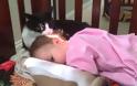 Η γάτα που μπέρδεψε το παιδί με το γατάκι της!