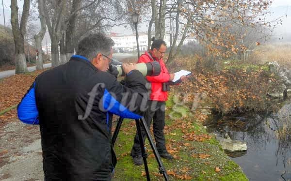 Καστοριά: Με προβλήματα οι καταμετρήσεις των πουλιών της λίμνης [video] - Φωτογραφία 1