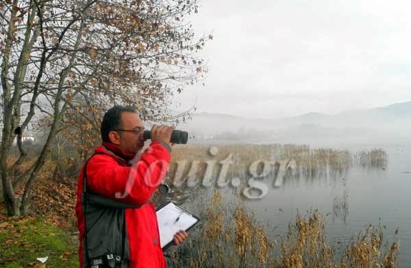 Καστοριά: Με προβλήματα οι καταμετρήσεις των πουλιών της λίμνης [video] - Φωτογραφία 2