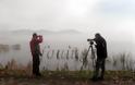 Καστοριά: Με προβλήματα οι καταμετρήσεις των πουλιών της λίμνης [video] - Φωτογραφία 4