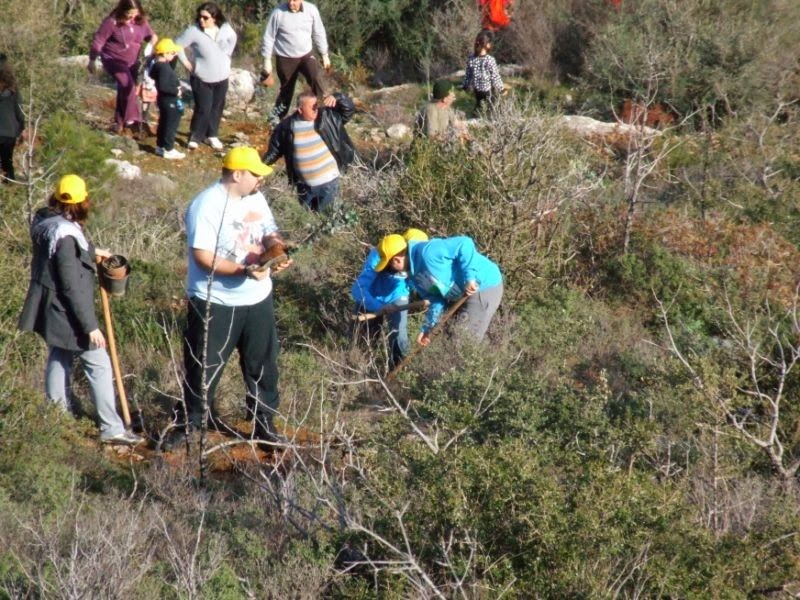 Αναδασώθηκε το «Παλάτι» στο Κορωπί - Φωτογραφία 2