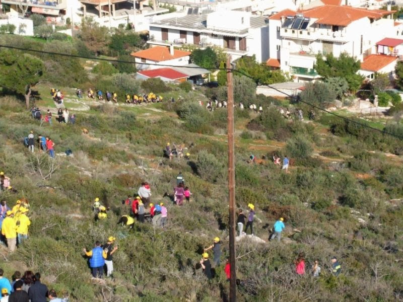 Αναδασώθηκε το «Παλάτι» στο Κορωπί - Φωτογραφία 3