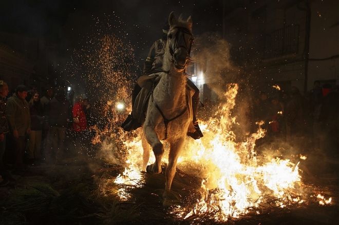 Περνώντας με άλογα μέσα από τις φωτιές - Έθιμο ή βαρβαρότητα; - Φωτογραφία 3