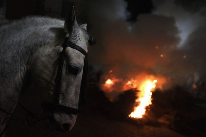 Περνώντας με άλογα μέσα από τις φωτιές - Έθιμο ή βαρβαρότητα; - Φωτογραφία 5
