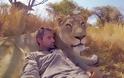 Ο άνθρωπος που μεταμορφώνει τα λιοντάρια σε γάτες [photos&video] - Φωτογραφία 2