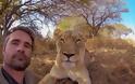Ο άνθρωπος που μεταμορφώνει τα λιοντάρια σε γάτες [photos&video] - Φωτογραφία 3