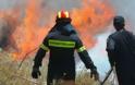 Πάτρα Τώρα: Φωτιά στα Κάτω Συχαινά