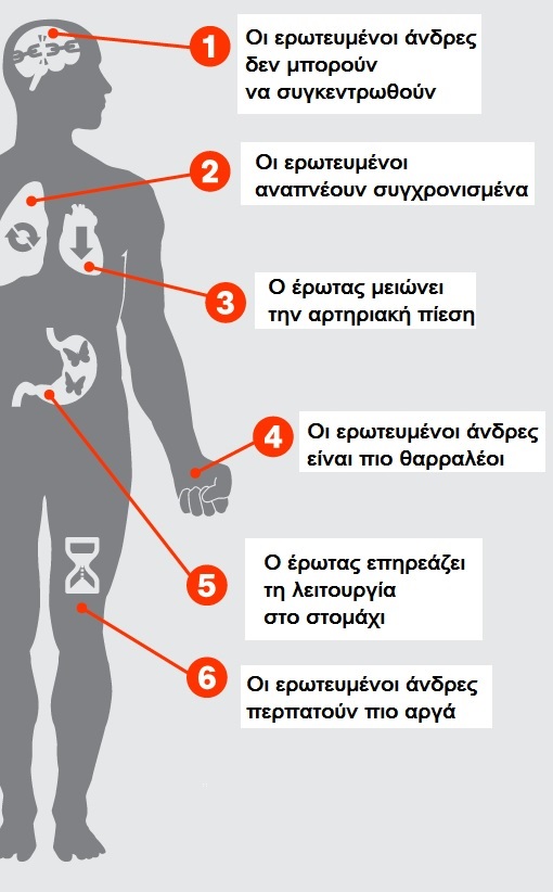 Δείτε τι συμβαίνει στο σώμα όταν είμαστε ερωτευμένοι (γράφημα) - Φωτογραφία 2