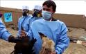 Βιετνάμ: Νεκρός 52χρονος από την γρίπη των πτηνών H5N1