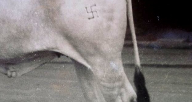 Ποδοσφαιρικοί σκλάβοι σε χέρια Ναζιστών - Φωτογραφία 2