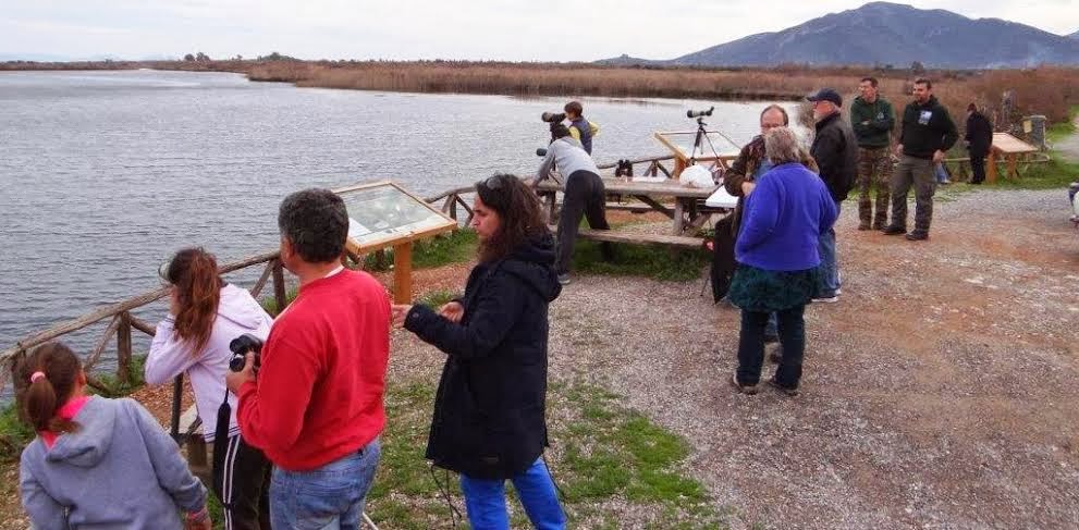 Εκδήλωση παρατήρησης υδρόβιων πουλιών μαζί με μεσοχειμωνιάτικες καταμετρήσεις στον υγρότοπο Μουστού - Φωτογραφία 3