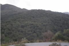 «Η έλλειψη λαδιού είναι σαν ανακοπή της καρδιάς του Κρητικού…»