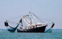 Υποχρεωτική η εγκατάσταση VMS στα επαγγελματικά σκάφη αλιείας - Φωτογραφία 1