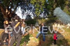 Βόρεια Εύβοια: Όταν οι 300 του Χόλιγουντ βρέθηκαν στην περιοχή! [video]