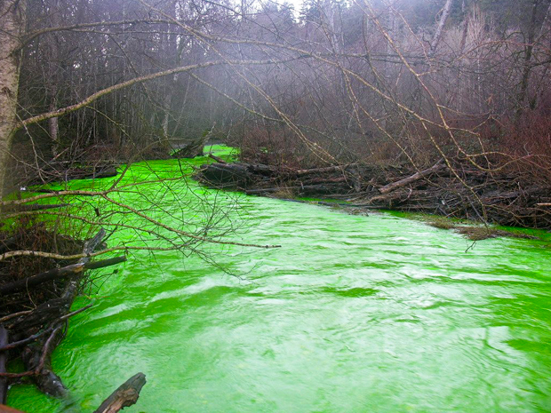Το ποτάμι έγινε πράσινο και …φωσφορίζει! - Φωτογραφία 3